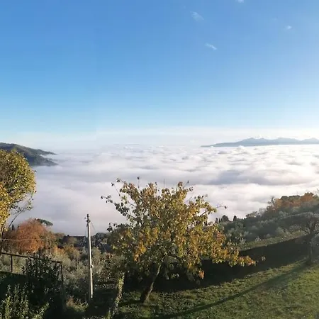 Casale Colle Belvedere * Lucca