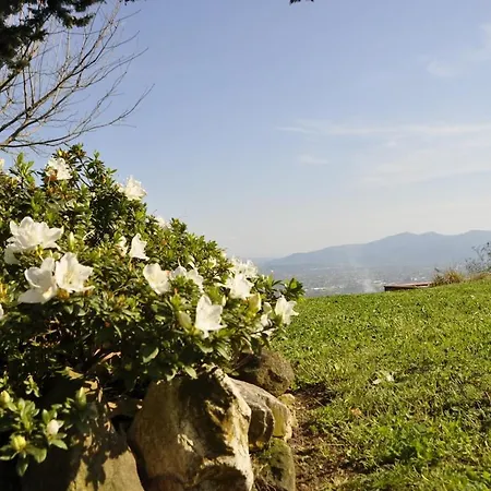 Casale Colle Belvedere لوكا