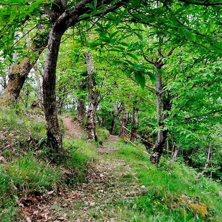 Vakantiehuis Casale Colle Belvedere