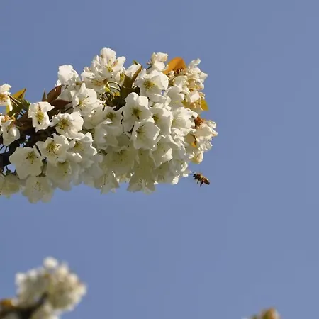Casale Colle Belvedere