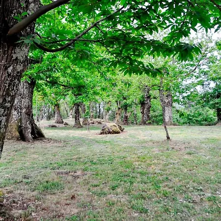 Vakantiehuis Casale Colle Belvedere Lucca