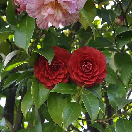 Casale Colle Belvedere