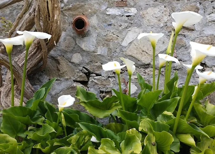 度假居 Casale Colle Belvedere *