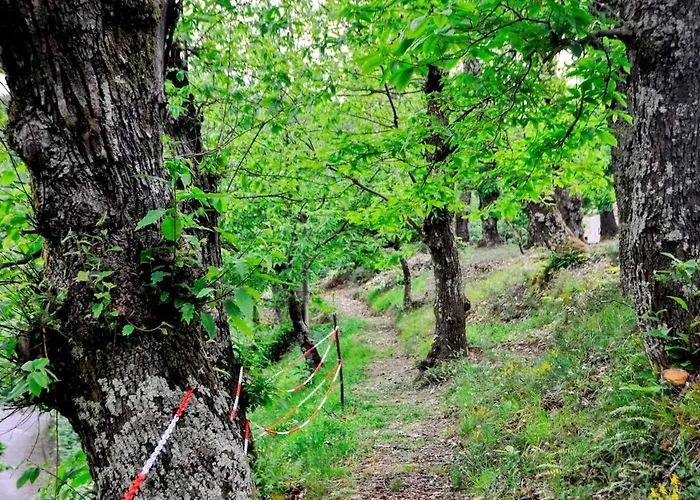 Casale Colle Belvedere * 卢卡