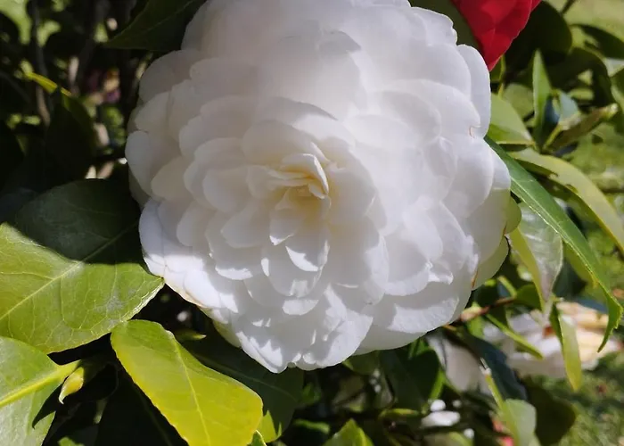 Casale Colle Belvedere 卢卡