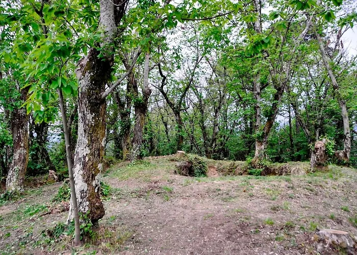 Casale Colle Belvedere 卢卡