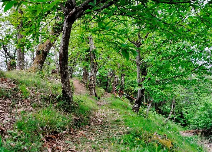 度假居 Casale Colle Belvedere