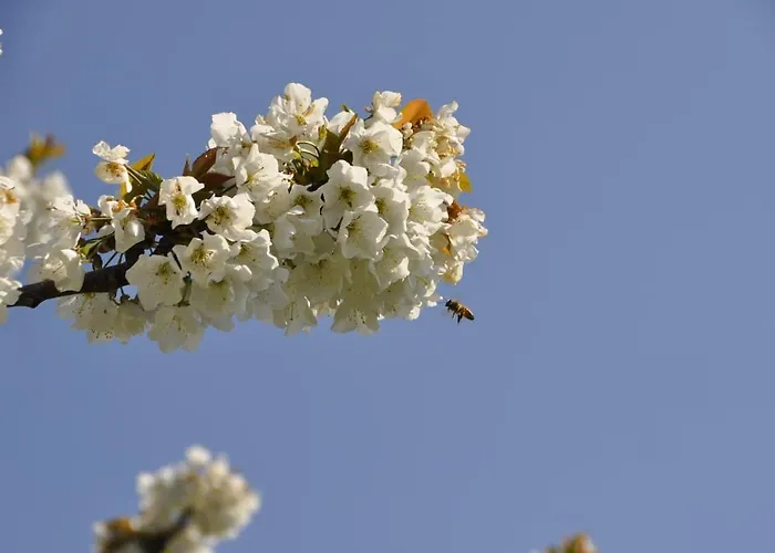 Casale Colle Belvedere