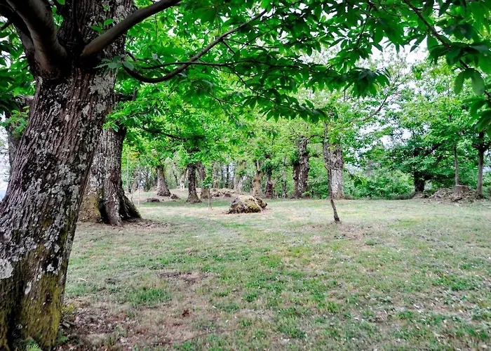 度假居 Casale Colle Belvedere 卢卡