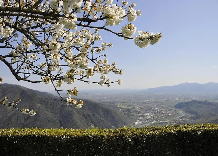 Casale Colle Belvedere 卢卡