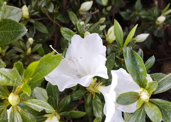 Casale Colle Belvedere 度假居